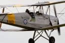 Tiger Moth Flights