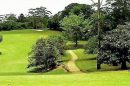 Tamborine Mountain Golf Club