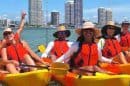 Kayak Tours