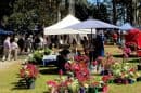 Mt Tamborine Markets