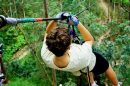 Treetop Challenge Currumbin