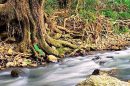 Currumbin Rock Pools