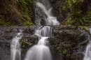 Lamington National Park